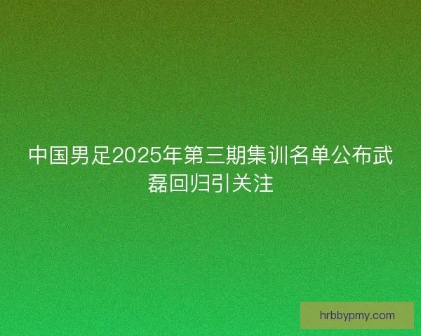 中国男足2025年第三期集训名单公布武磊回归引关注